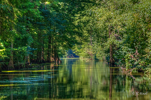 Reelfoot Lake