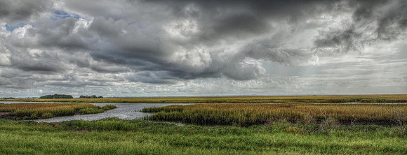 The Marshes of Glynn