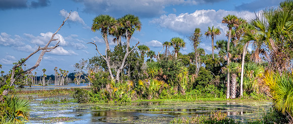 Orlando Wetlands Park