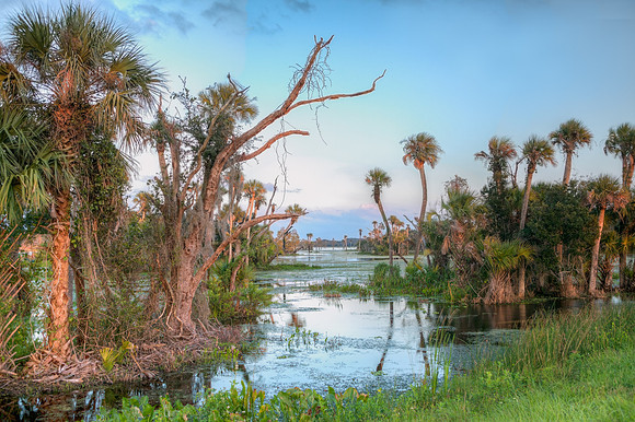 Orlando Wetlands Park