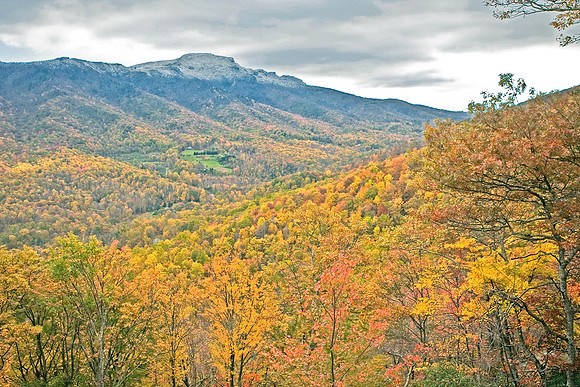 The view from our deck - Grandfather Mountain