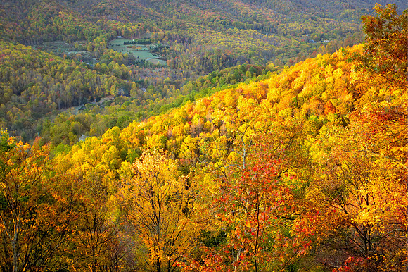 More colored leaves