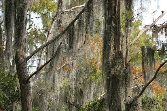 IMG_7601.JPG