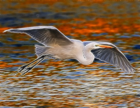Great Egret