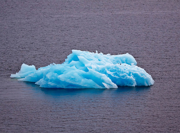 Iceberg